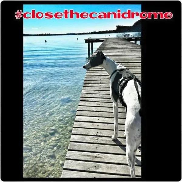 12074938 898390686911454 1303855913256670341 n