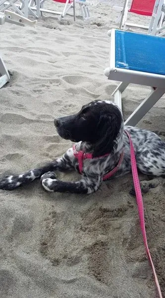 12075052 1225530657472576 5593135808887338207 n