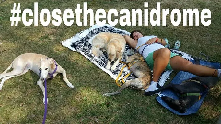 12079097 545149568973739 3007137574011229688 n