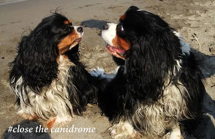 12079129 10153550110826878 3071002631167806018 n