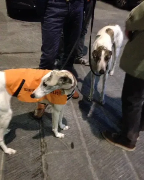 12079156 10205956604886634 7996337355291841041 n