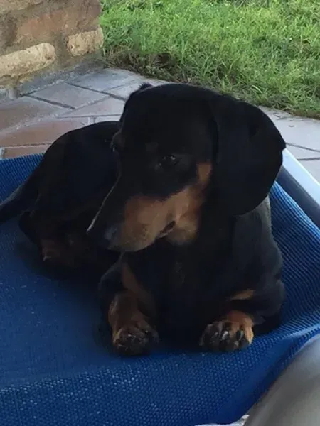 12079181 1043089929057678 5196614925456699709 n