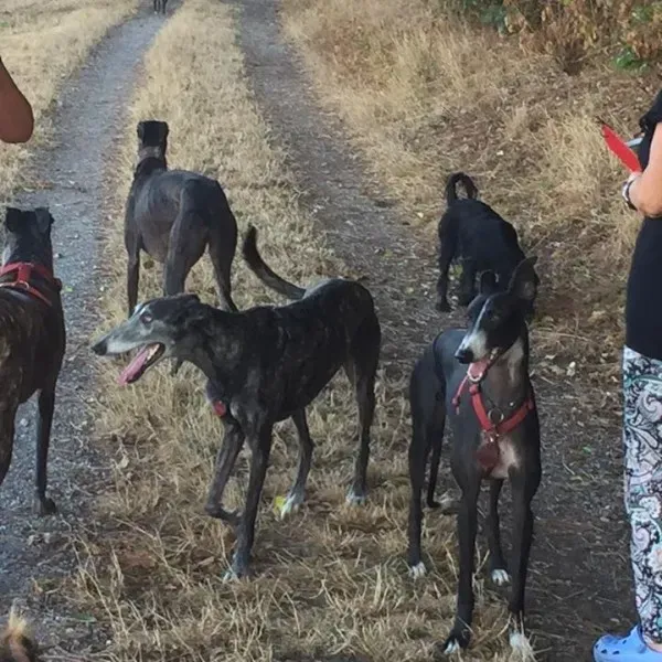 12079232 10206800127674671 6899655816622449006 n