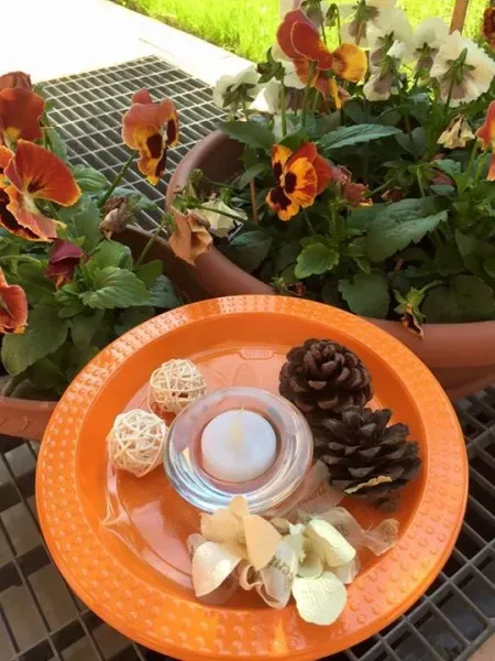 12079456 10205187701600326 1323858153616790548 n