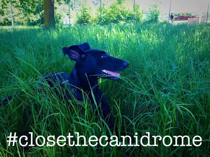 12079687 10207320457240507 759592743873303525 n