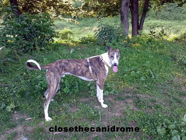 12079713 10205268886538028 3019207838288924998 n