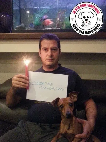 12079927 430142940527815 2502081564624319385 o