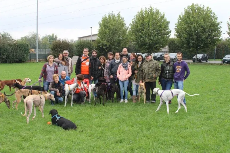 12080317 900188513398338 1587276705675379353 o