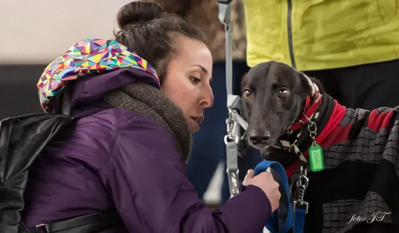 12084835 982386095164127 1426732624 o