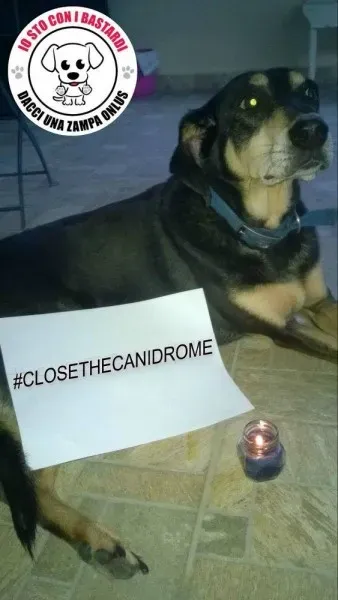 12087240 430139357194840 3630883512467098752 o