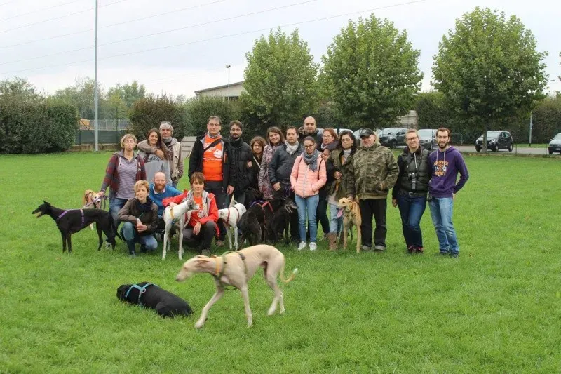 12087696 900188396731683 4928986287219732047 o