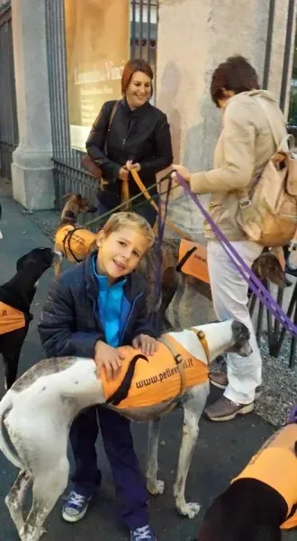 12087981 787956791313226 1485065516081029782 n