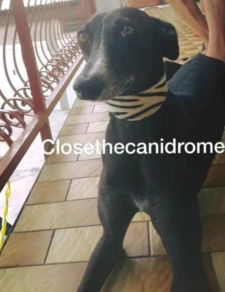 12088100 10206700609587278 4326254681764398851 n