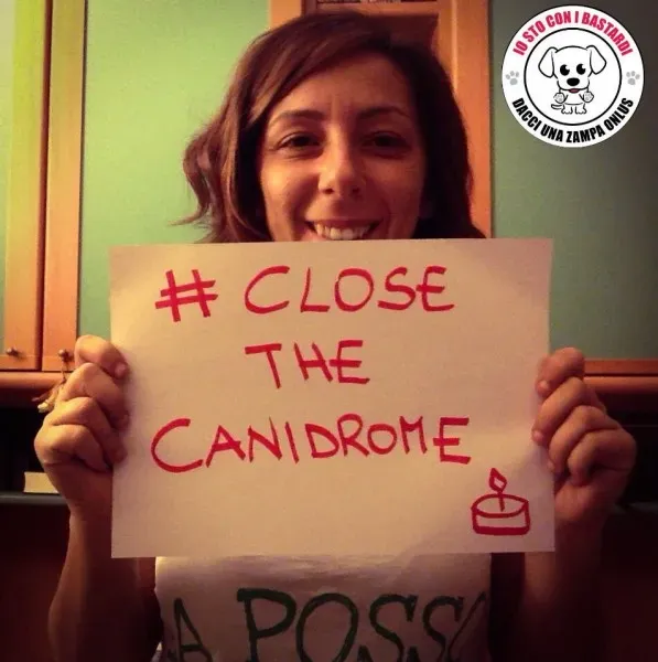 12088167 430143380527771 5454229769427254501 n