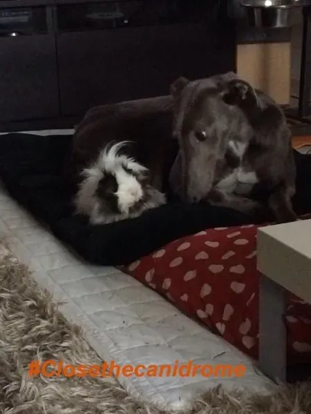 12088218 898544513562738 6301137382429630702 n