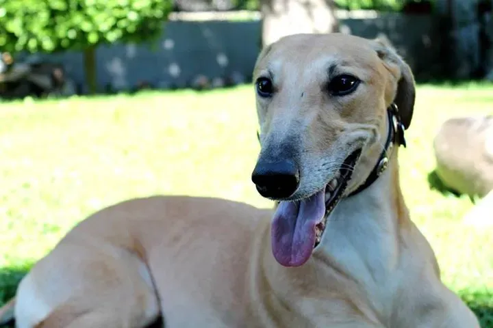 12088259 10206463161849984 1385188165368587500 n