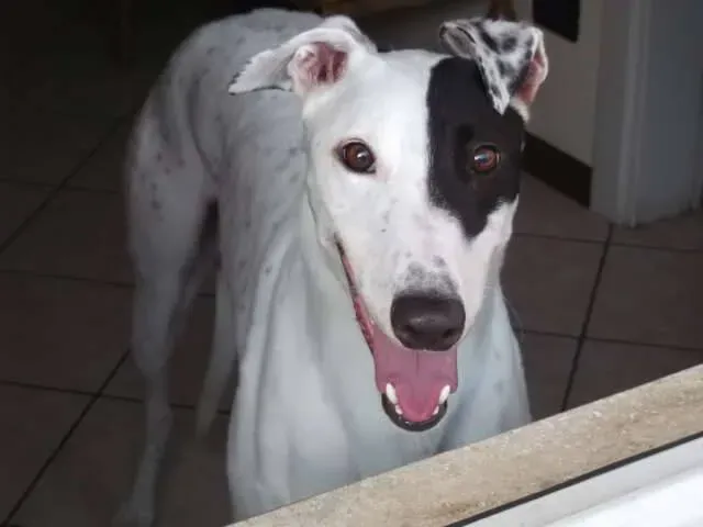 1208838 4846684504471 448324999 n