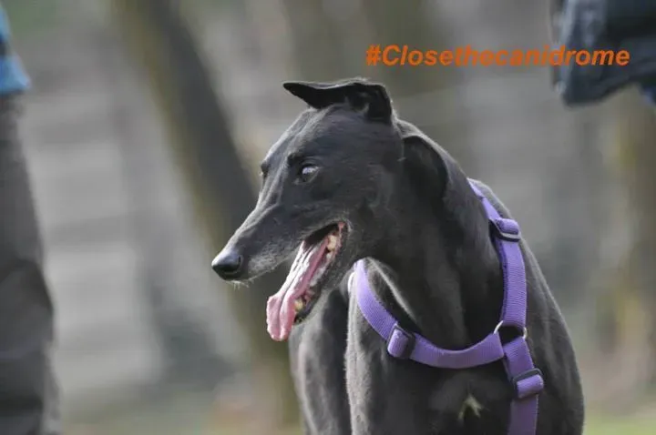 12088448 898544636896059 9212915466175319403 n