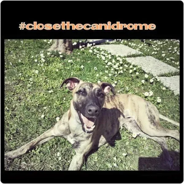 12088526 898391006911422 8139070880556211312 n