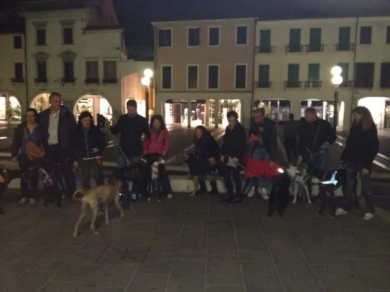 12088538 10206352293304017 1237964621453455354 n