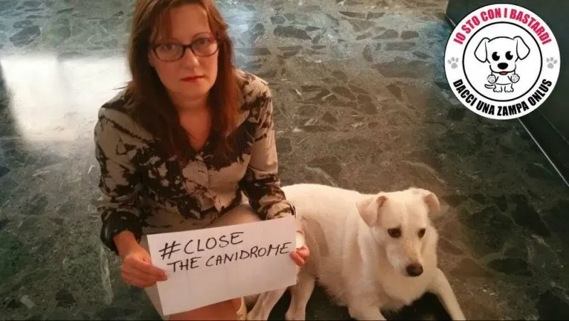 12091379 430139313861511 2958171246511173170 o