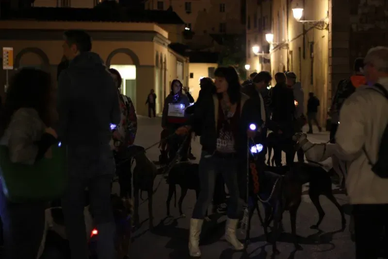 12091384 517884105046780 8946512582776437050 o1