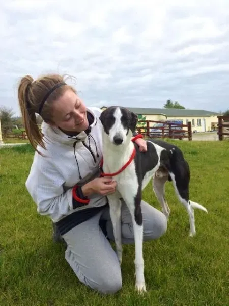 12092562 1733180600243253 2007382364 n 2