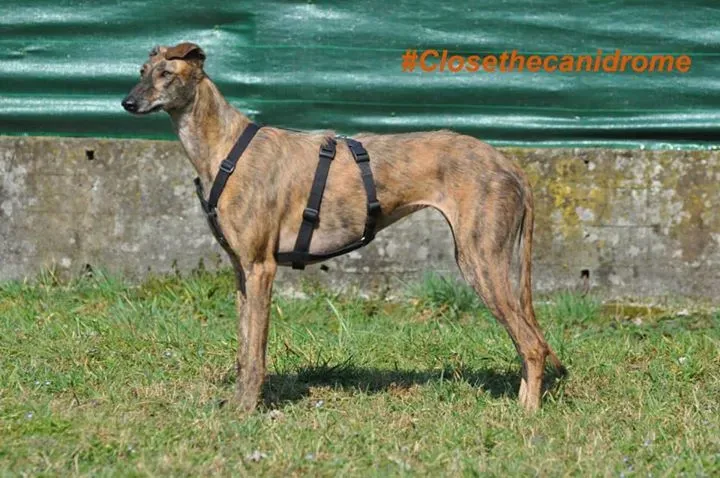 12096024 898544640229392 3194438822102024637 n