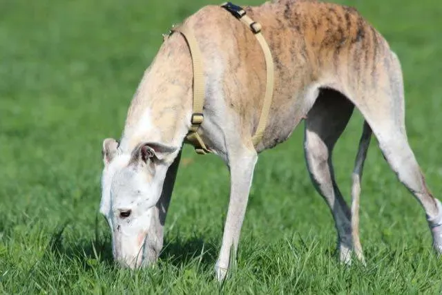 12096082 903076576442865 1534293187283835022 n