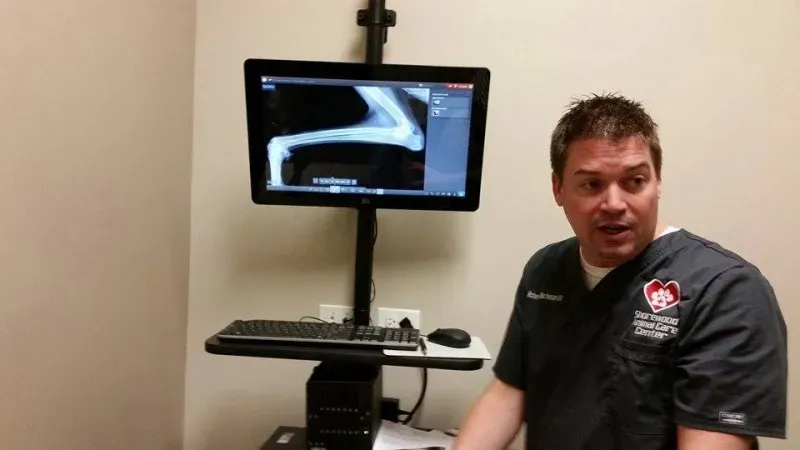 12096137 1770610956499874 5956258267656975645 n