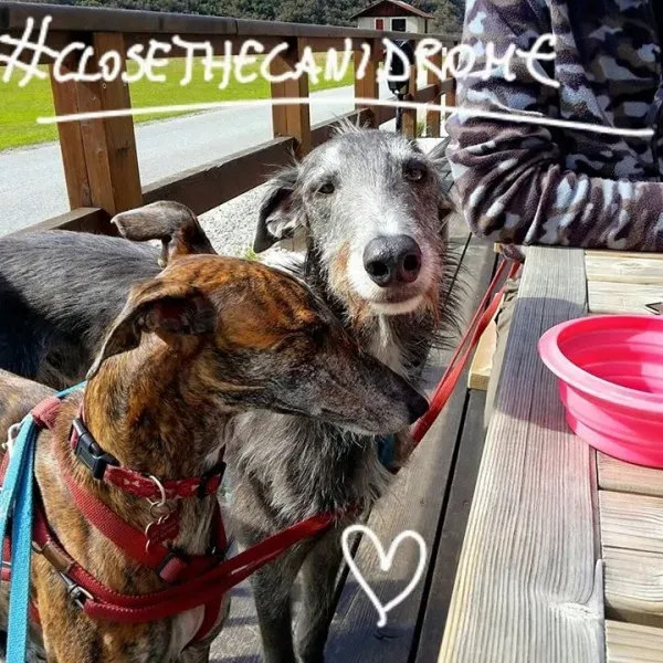 12096412 10208191498613906 6313657581569880432 n