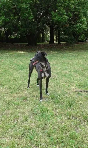 12096567 505925546243419 4091178974633185285 n