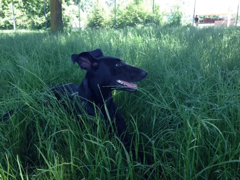 12105721 10208473701510893 8498587284380409834 n