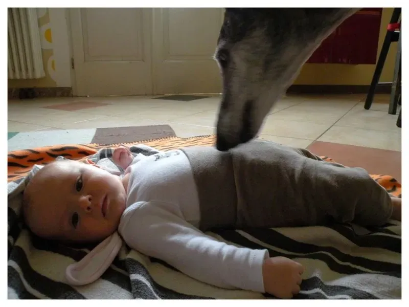 12106891 907289262688263 909173630827427861 n