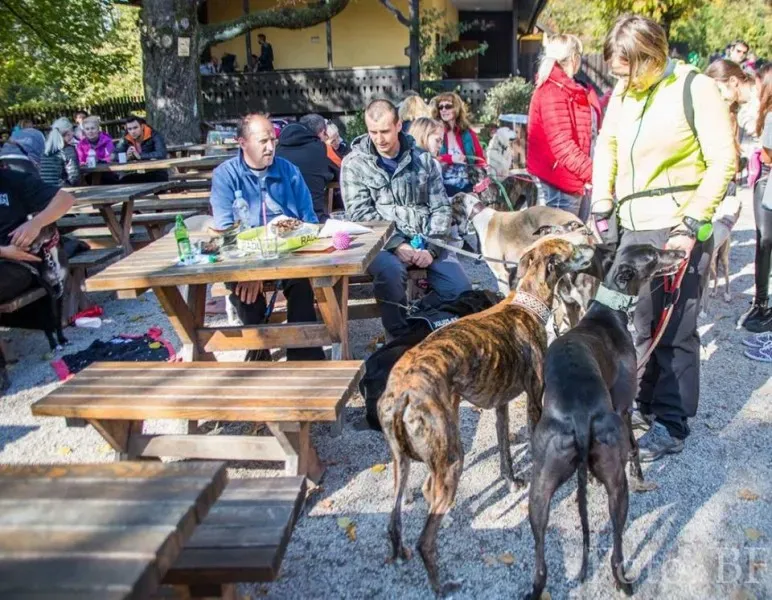 12108921 177495949257106 4131620961560788879 n