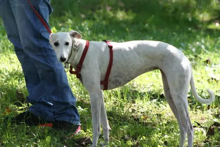 12109184 10209330494928216 2361448242633517305 n