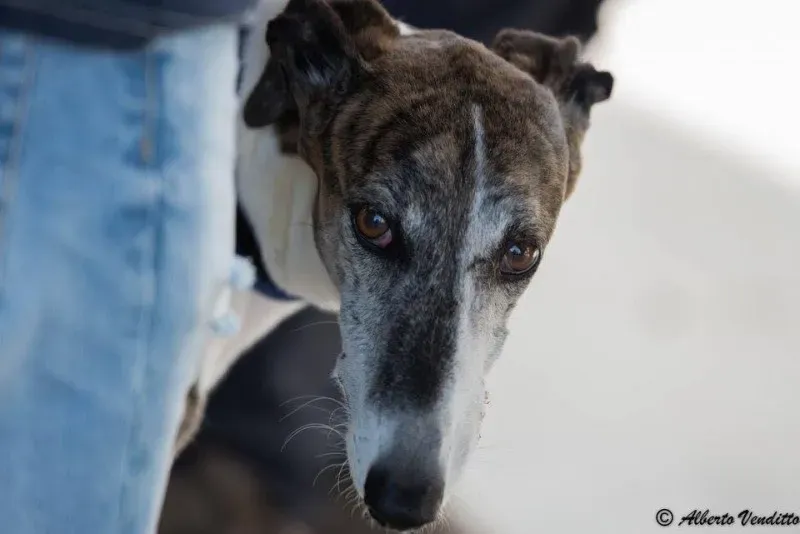 12109248 910873472329842 7745406327508648055 n