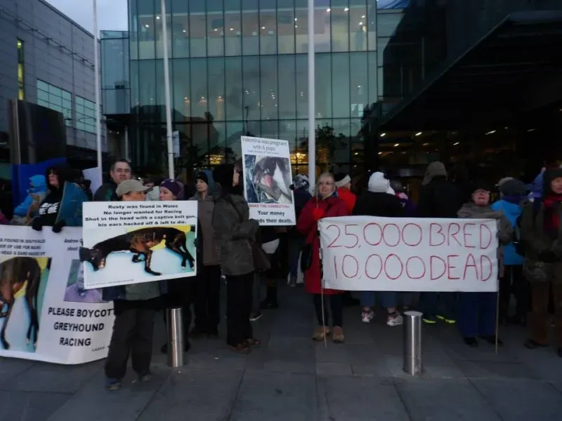 12109 550564648385008 68208553 n