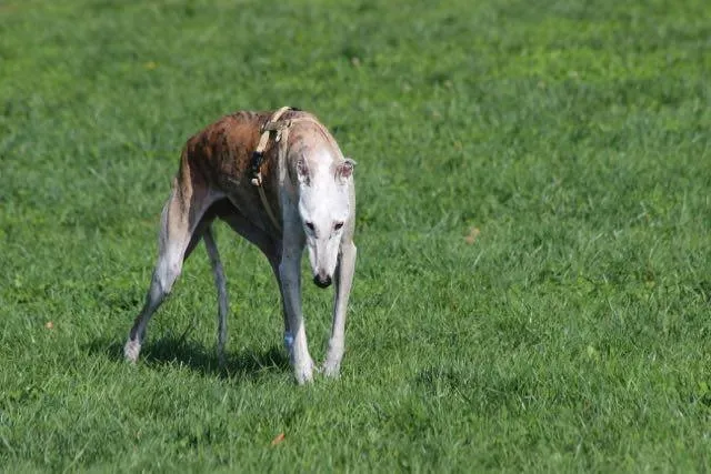 12112359 903076566442866 2136827317508554637 n