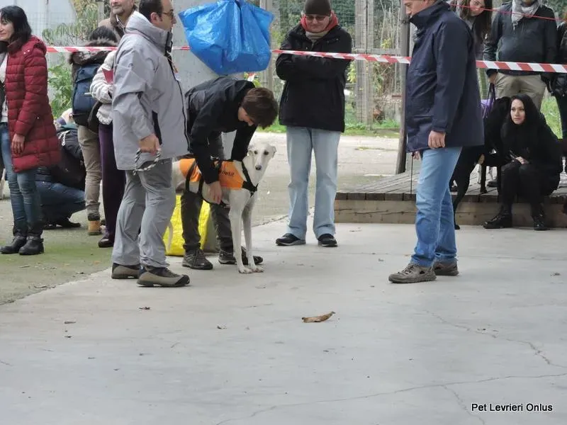 12115453 918531931563996 3452565963463517973 n