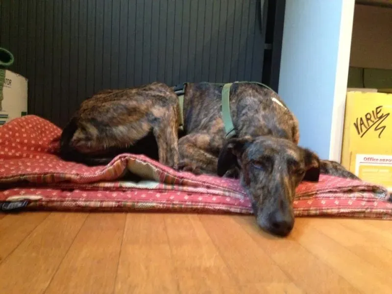 12115454 10207246913198501 5602745483544393369 n