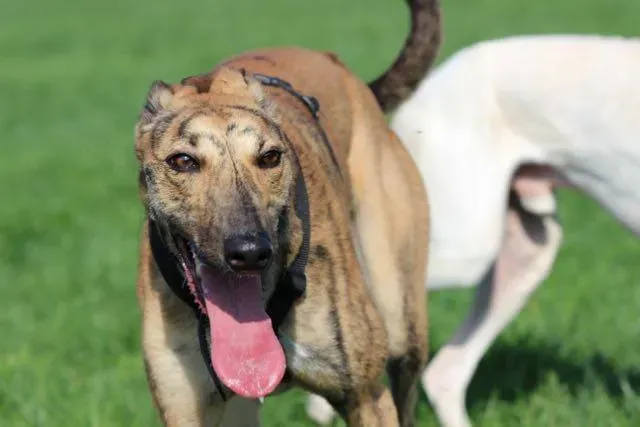 12115709 903076373109552 8657020400757524599 n