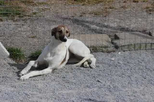 12115819 1016141268469728 8074575068613524823 n