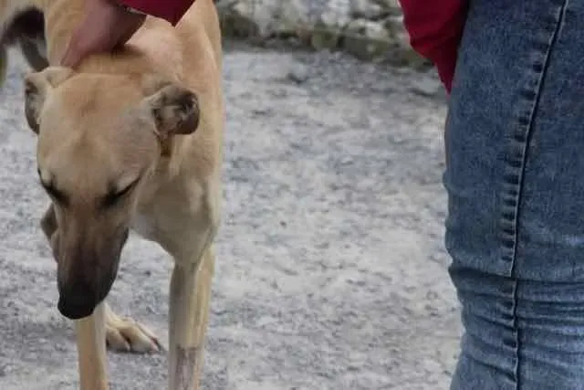 12115819 1016142321802956 2616162506460232285 n