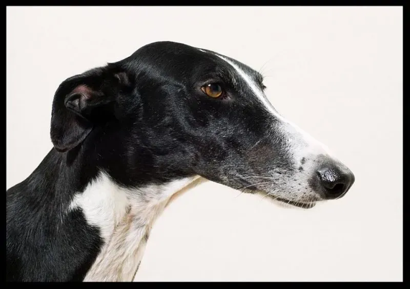 12118834 904196112997578 779033561258114658 n