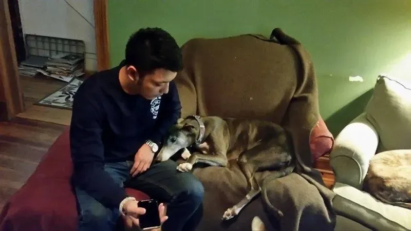 12122829 1770610849833218 750404638699435115 n