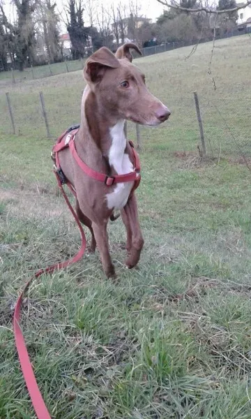 12141658 1568182596833657 1209835849686192473 n