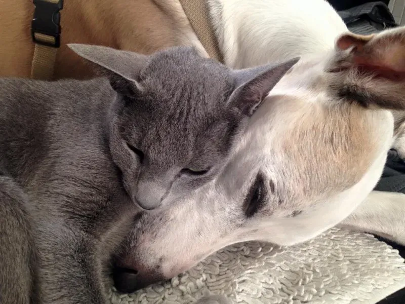 12141717 908953505855172 4393458664892689251 n