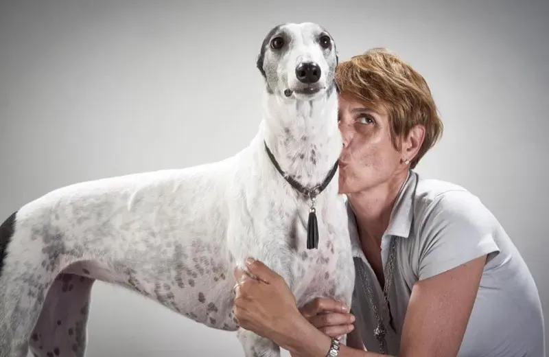 12143270 906321329451723 8565591780233035774 n