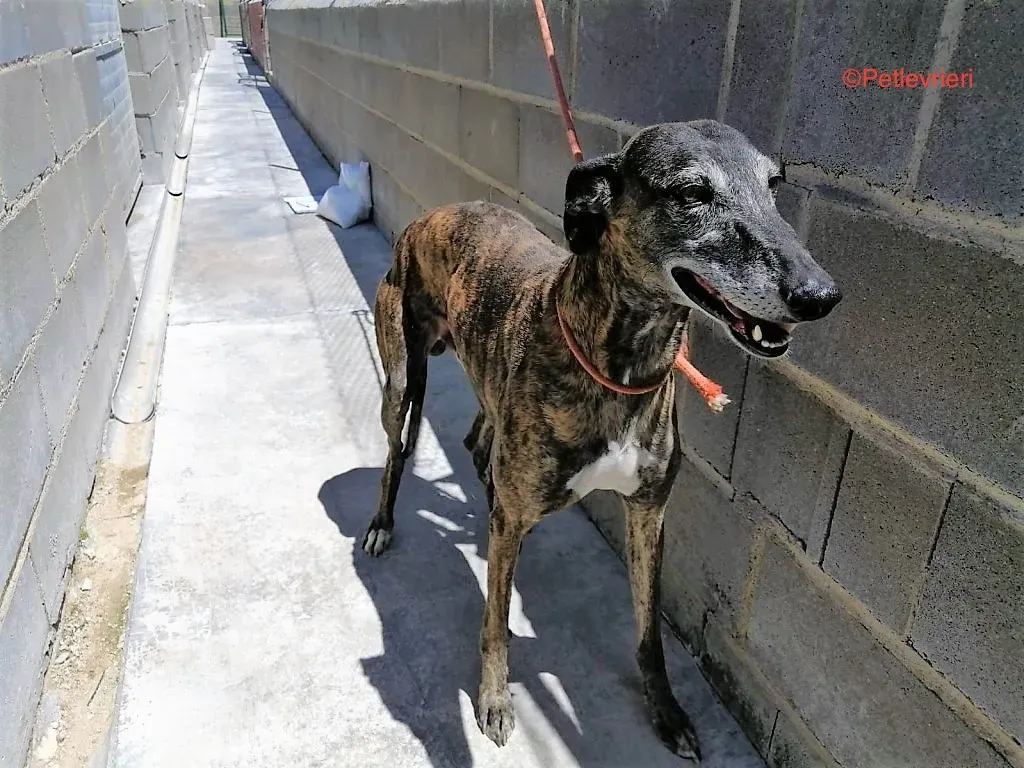 121622063 578033946302225 3429668380436655049 n